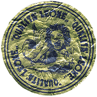 Leone Gorgonzola Piccante DOP cheese