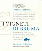 Fattoria La Rivolta Beneventano Falanghina I Vigneti di Bruma