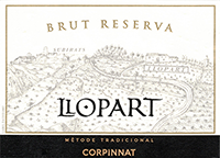 Volcans d’Auvergne Puy de Dôme Lava