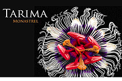 Tarima Alicante Monastrell