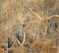 Pierre Luneau-Papin Butte de la Roche Muscadet S&egrave;vre et Maine